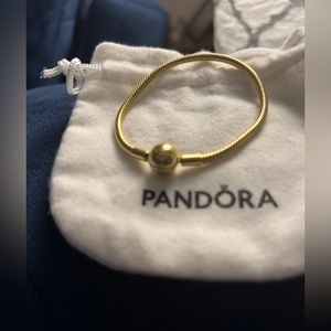 Pandora charm bracelet